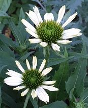 新潟市北区 A様