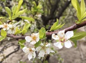 新潟市北区 M様