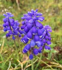 新潟市北区 I様